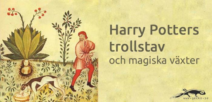 Harry Potters trollstav och magiska växter