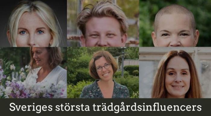 Sveriges största trädgårdskonton på instagram