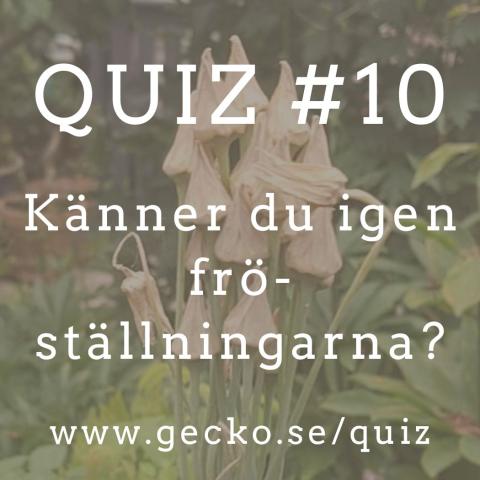 Känner du igen fröställningarna?