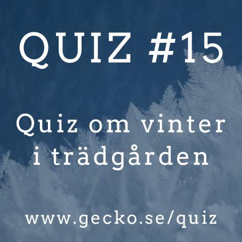 Vinter-quizzet