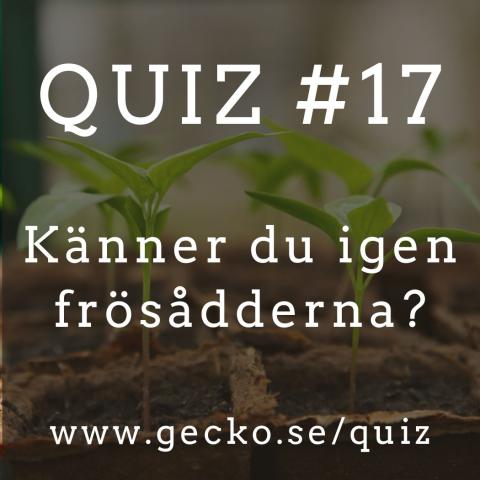 Känner du igen frösådderna?