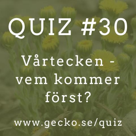 Quiz: Vårtecken - vem kommer först?
