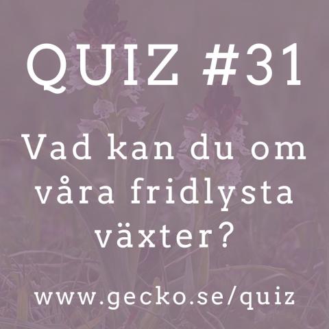 Quiz: Vad kan du om fridlysta växter?