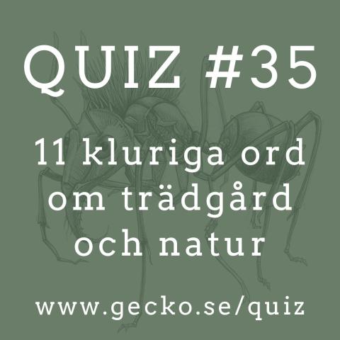 Quiz om trädgård och natur