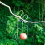 Fågelmatare tråd äpple
