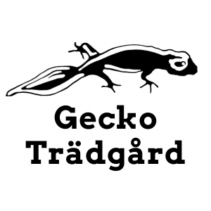 Produkter från Gecko Trädgård