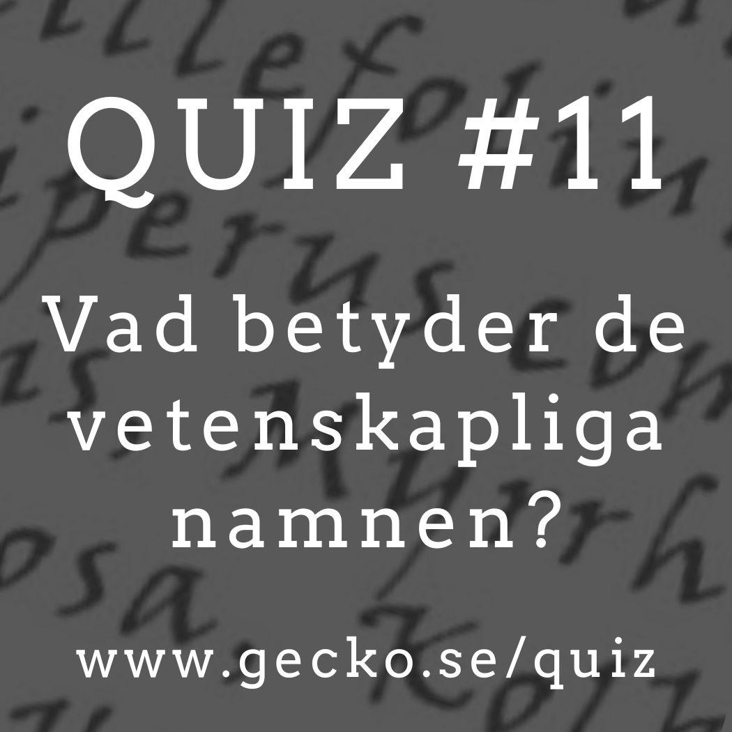 Quiz: vad betyder det vetenskapliga namnet?