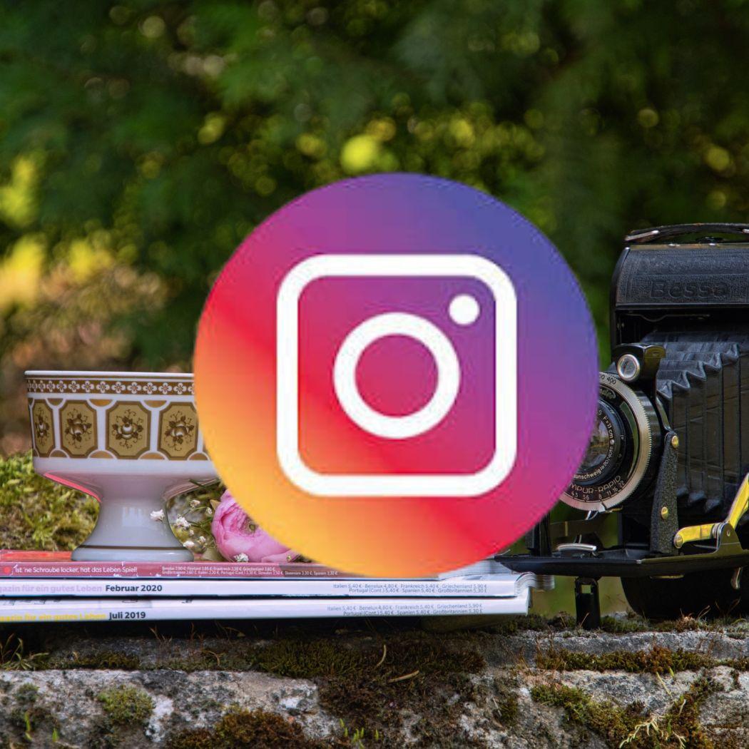 Sveriges 13 största trädgårdsinfluencers (på Instagram)