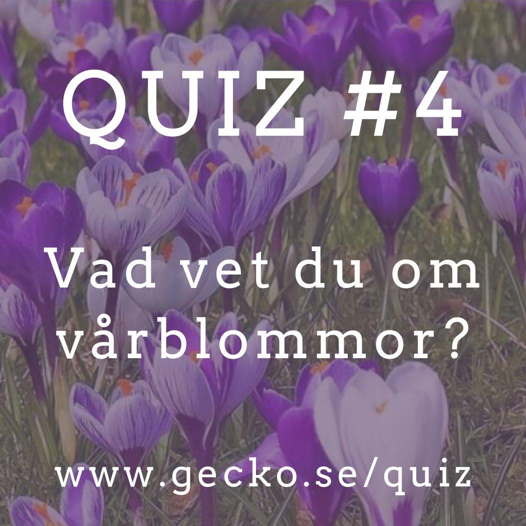 Quiz: Vad vet du om vårblommor?