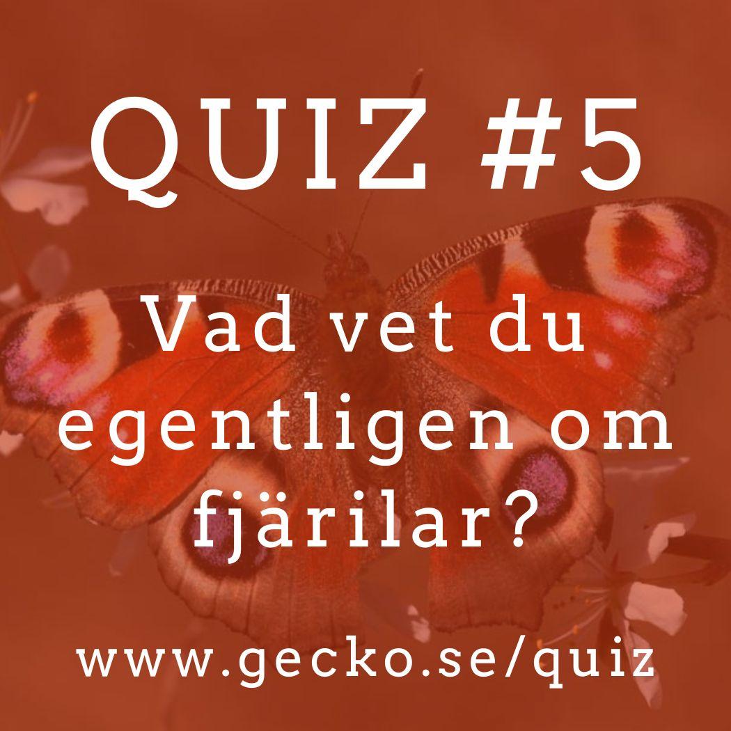 Vad vet du egentligen om fjärilar?