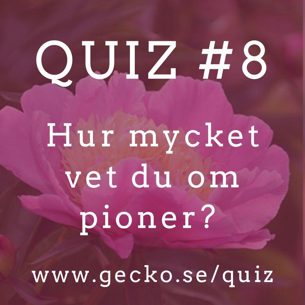 Vad vet du egentligen om pioner?