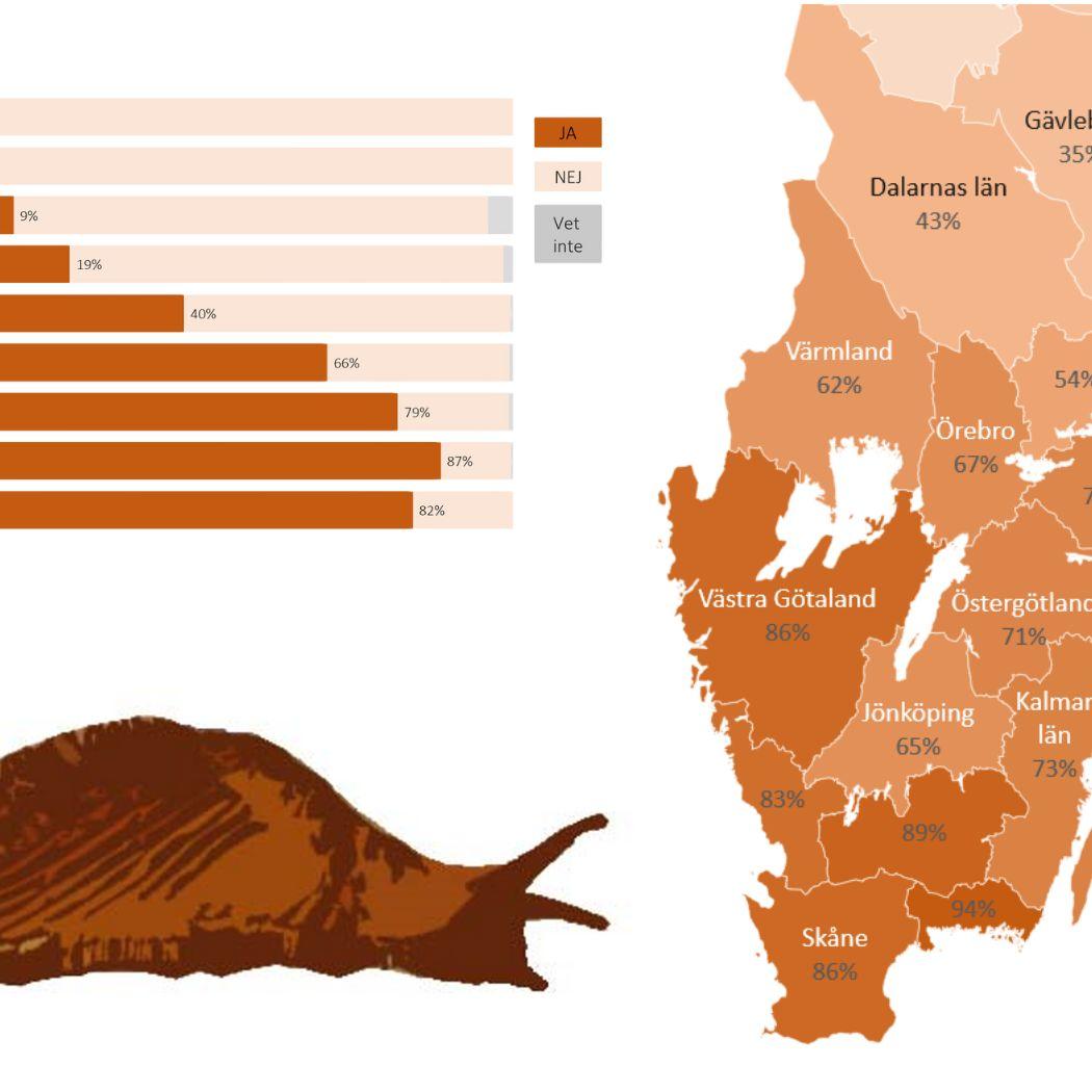 Mördarsnigeln - statistik i Sverige 2022