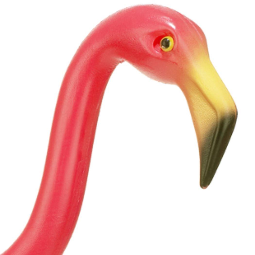 Rosa trädgårdsflamingo och dess historia