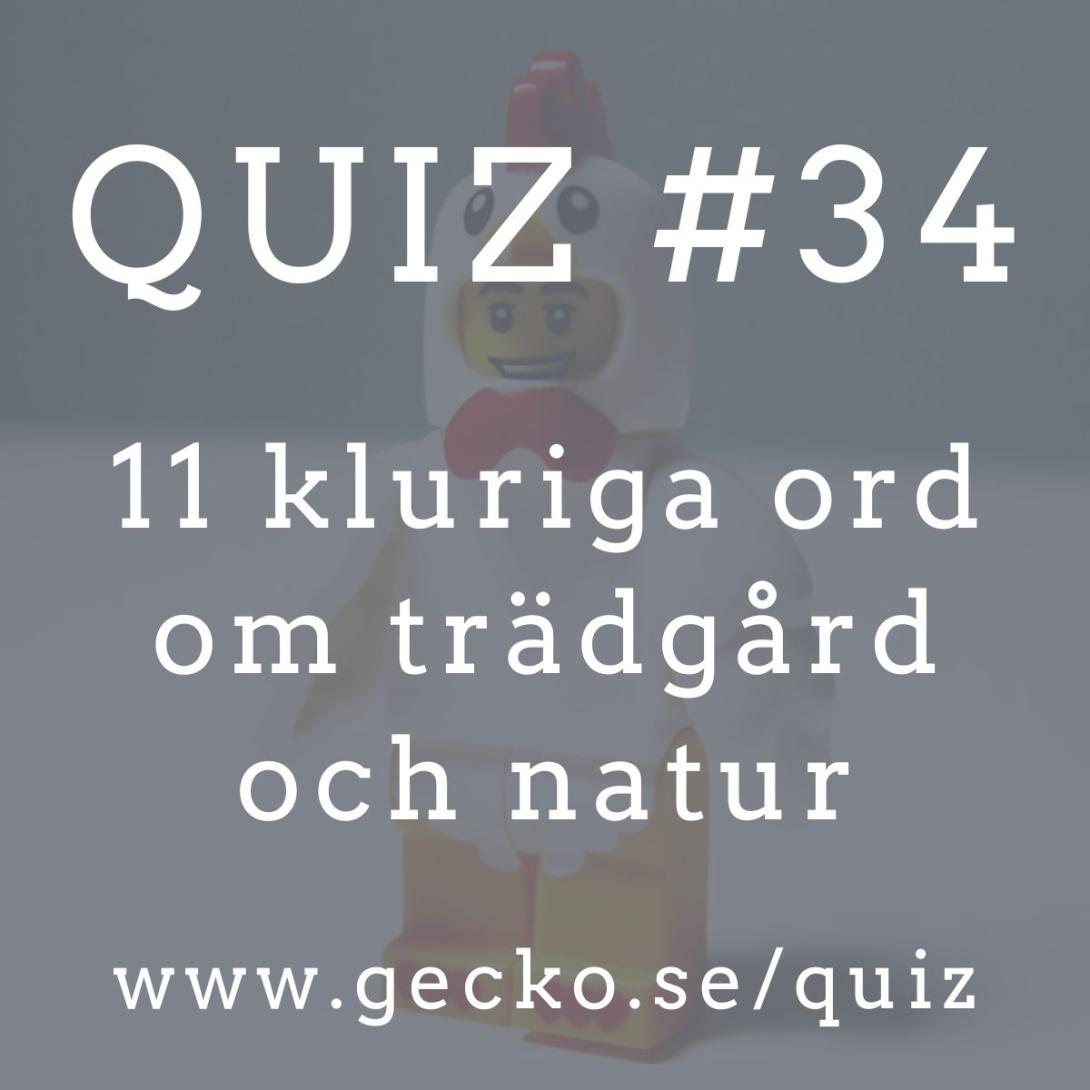 Quiz ute