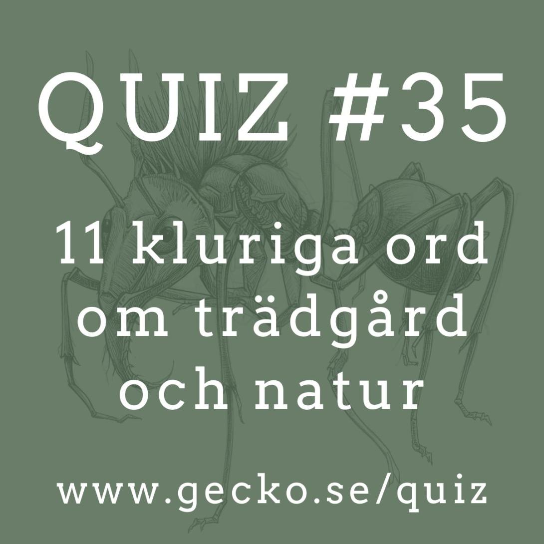 Quiz om trädgård och natur
