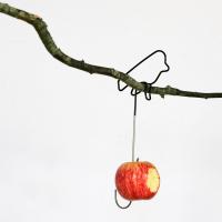 Fågelmatare tråd äpple